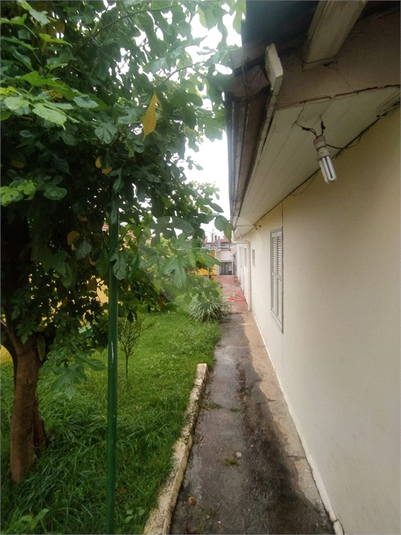 Foto REO1104772