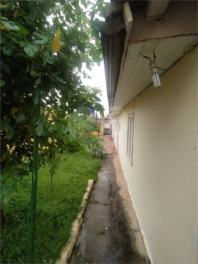 Foto REO1104772