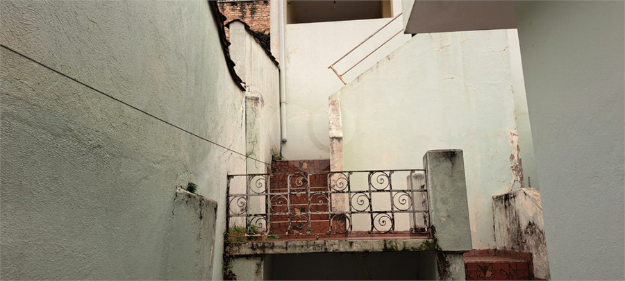 Foto REO1104799