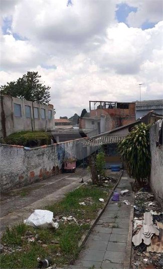 Foto REO1104806