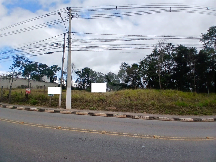 Foto REO1104850