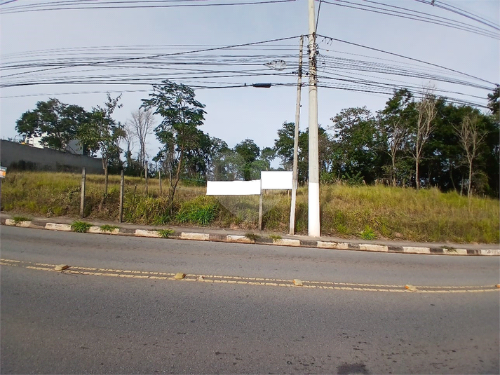 Foto REO1104850