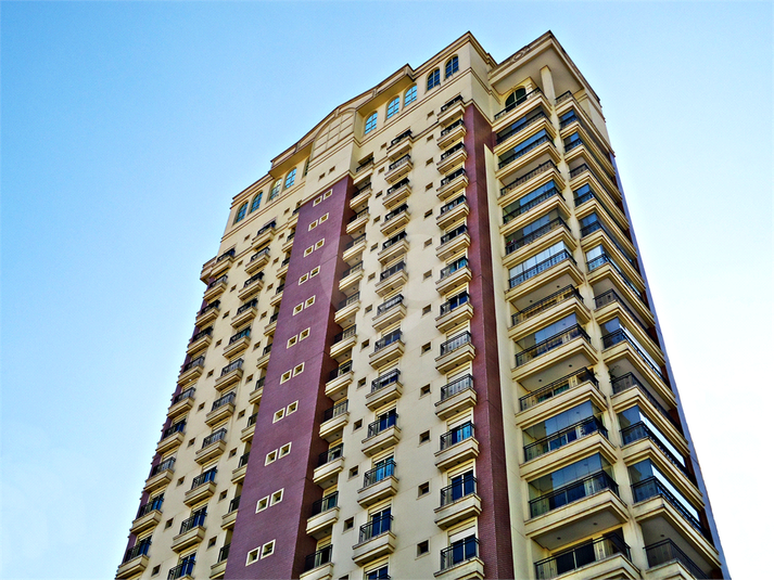 Foto REO1104868