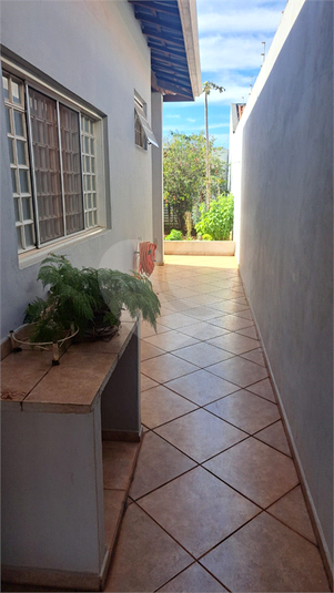 Foto REO1104872