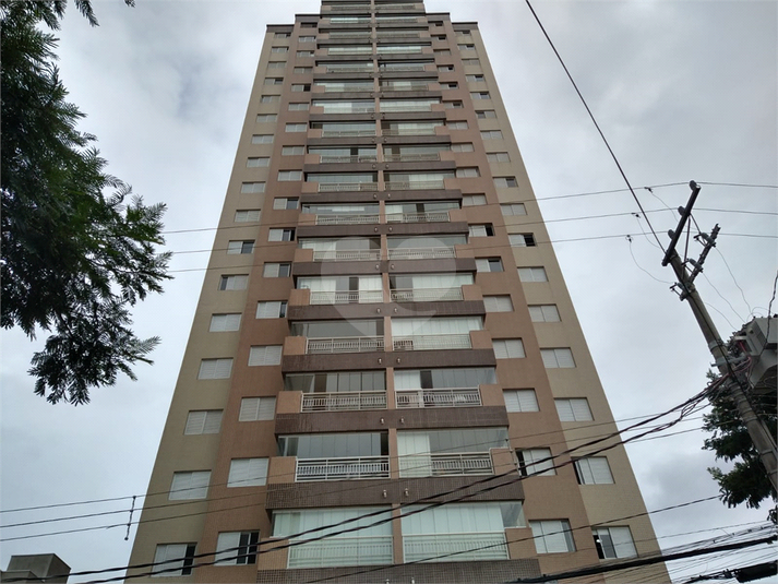Foto REO1104882