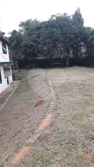 Foto REO1104892