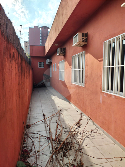 Foto REO1104904