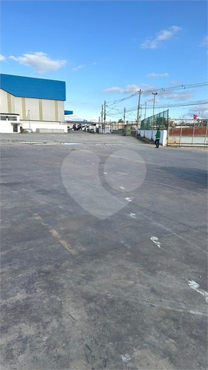 Foto REO1104907