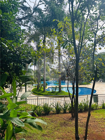 Foto REO1104928