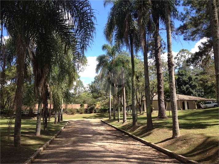 Foto REO1104933