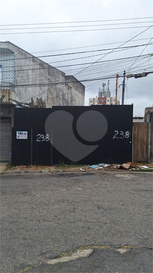 Foto REO1104937