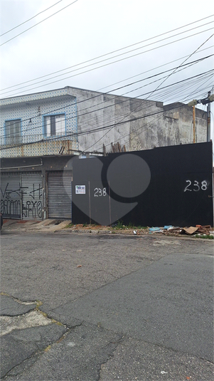 Foto REO1104937