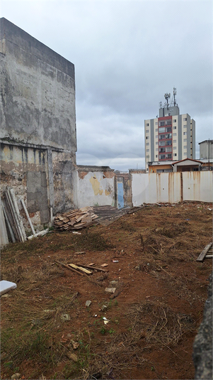 Foto REO1104937