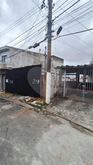 Foto REO1104937