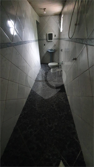 Foto REO1104940