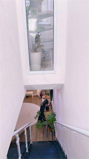 Foto REO1104944