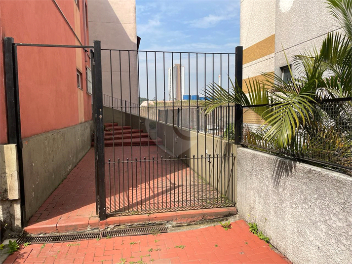 Foto REO1104948