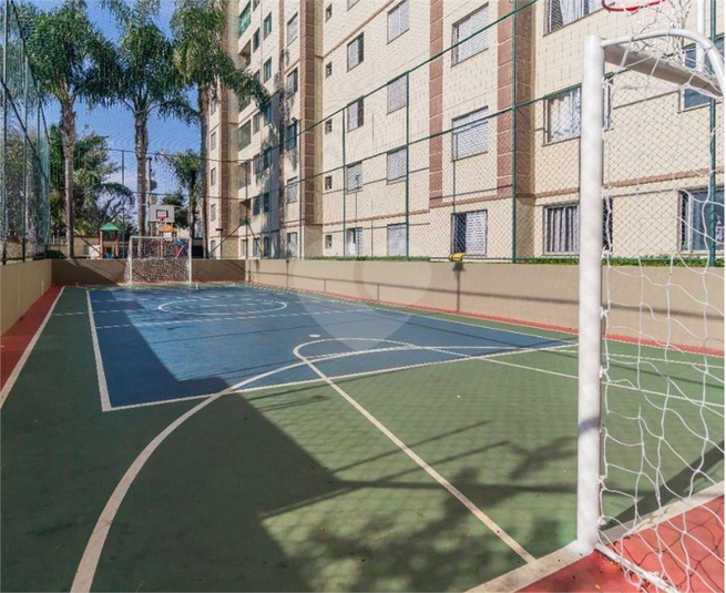Foto REO1104956