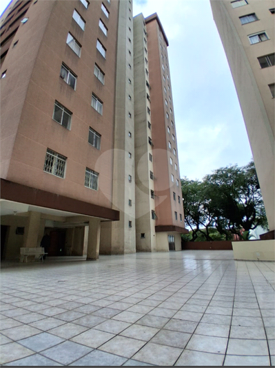 Foto REO1104961