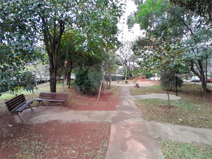 Foto REO1104971