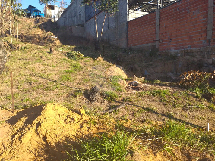 Foto REO1104988