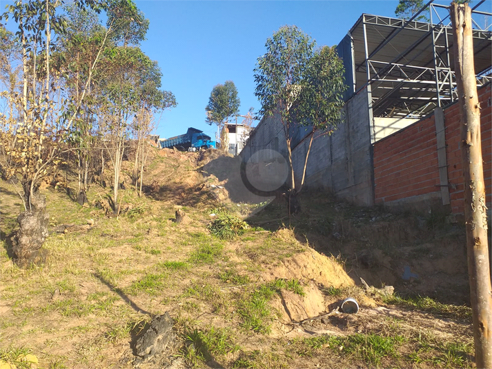 Foto REO1104988