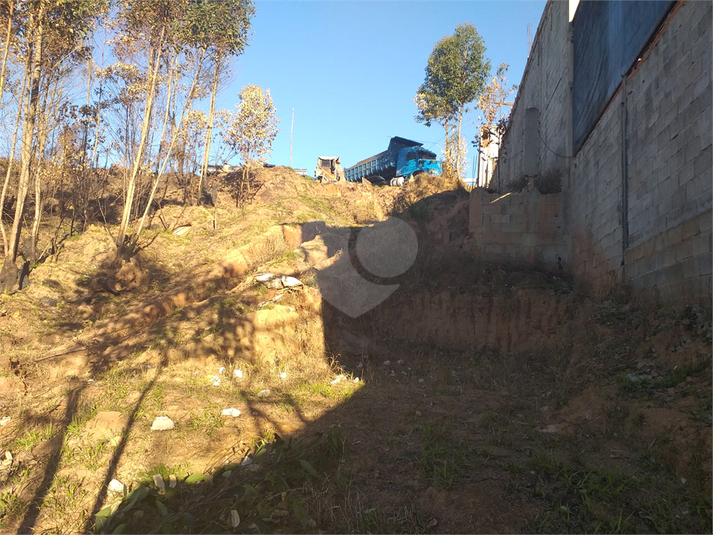 Foto REO1104988