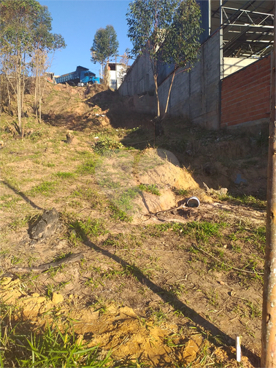 Foto REO1104988