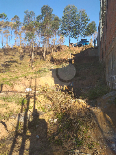Foto REO1104988