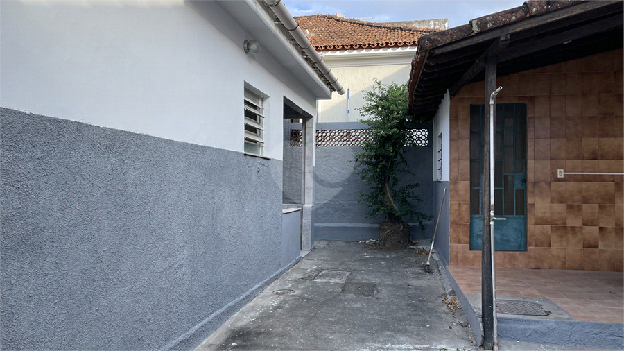 Foto REO1104989