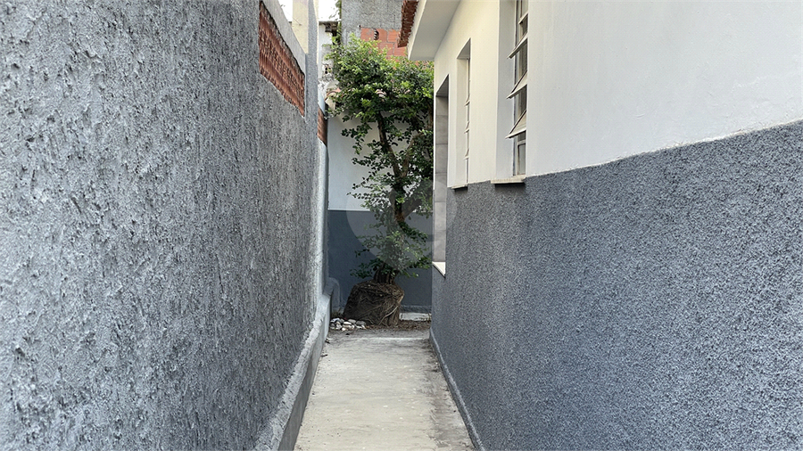 Foto REO1104989