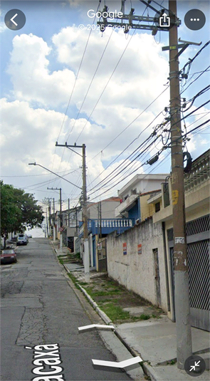 Foto REO1104992