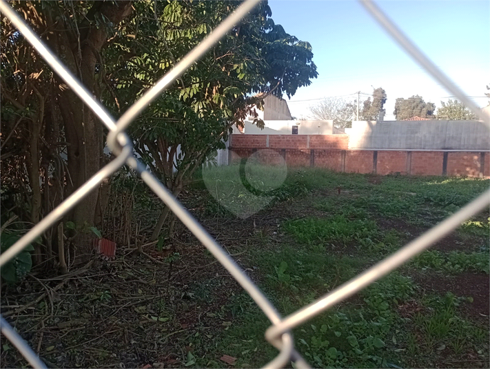 Foto REO1104993