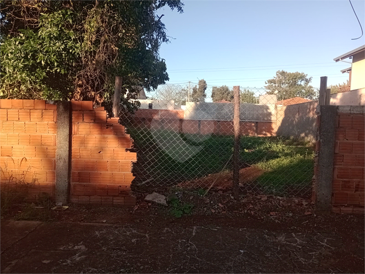 Foto REO1104993