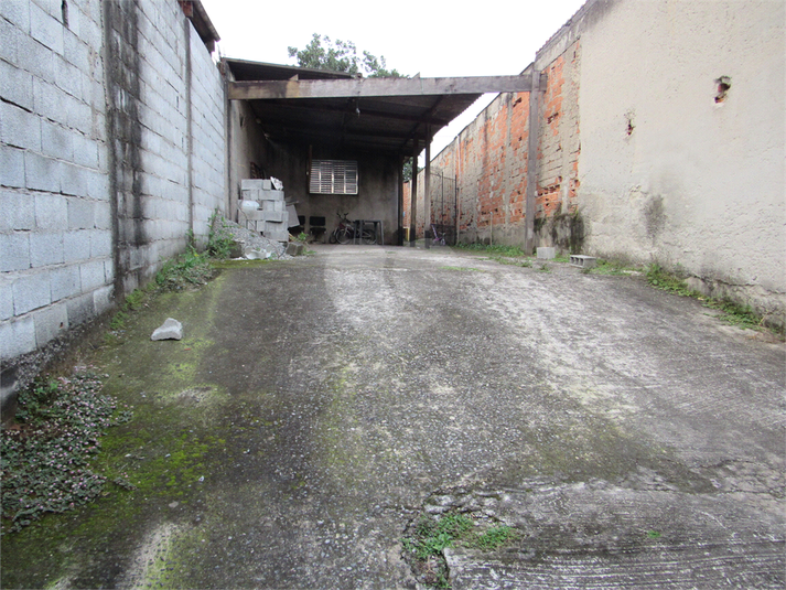 Foto REO1105003