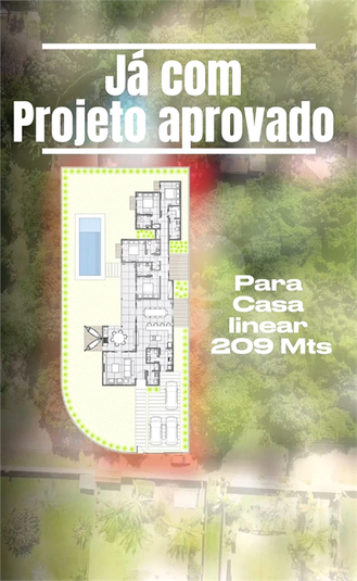Foto REO1105023