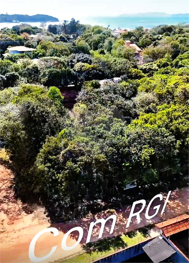 Foto REO1105023