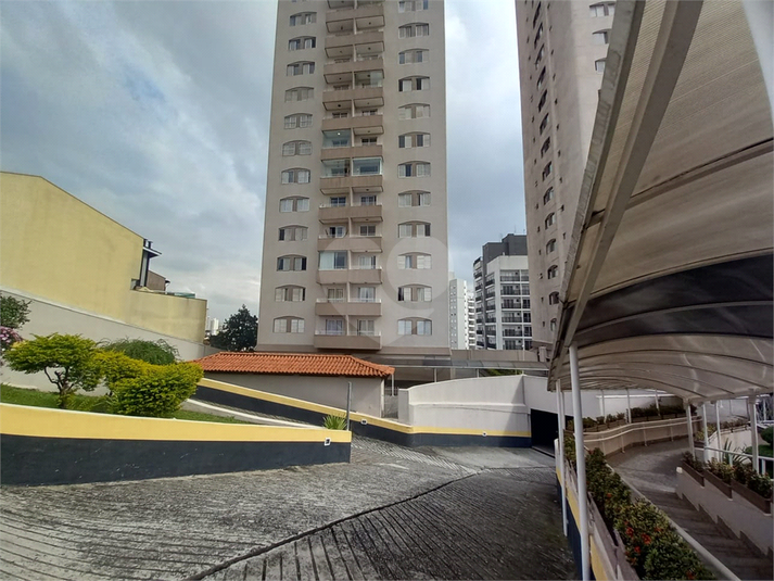 Foto REO1105062