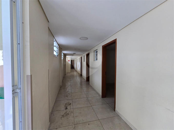 Foto REO1105099
