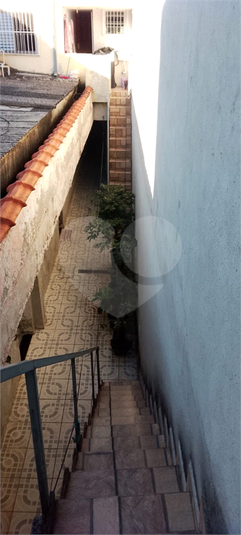 Foto REO1105123