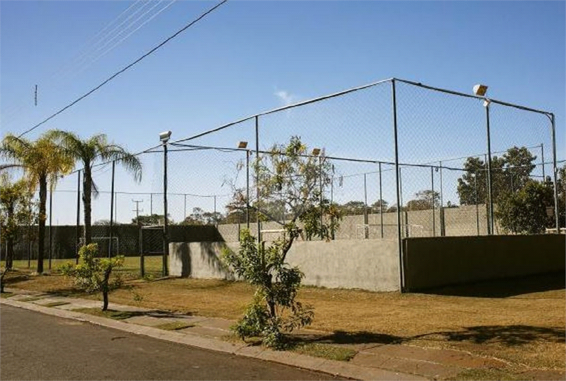 Foto REO1105149