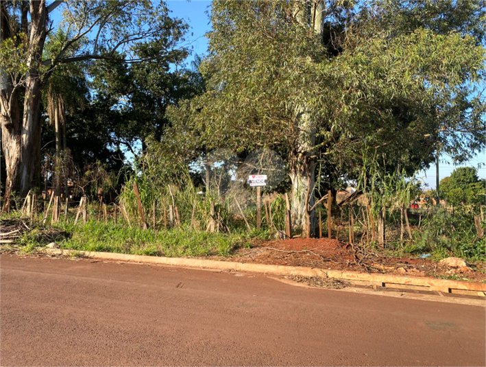 Foto REO1105162