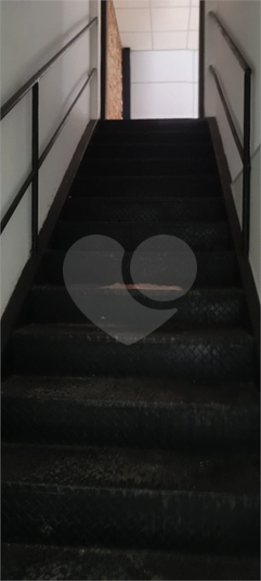 Foto REO1105165