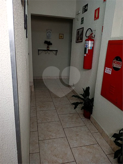 Foto REO1105187