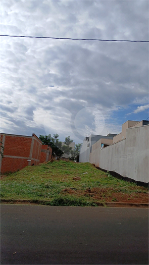 Foto REO1105190