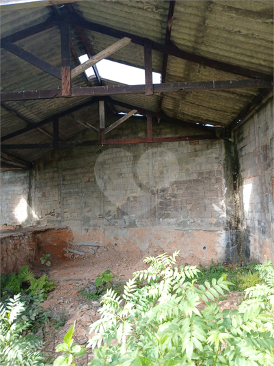 Foto REO1105237