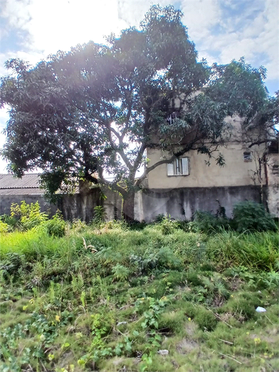 Foto REO1105237