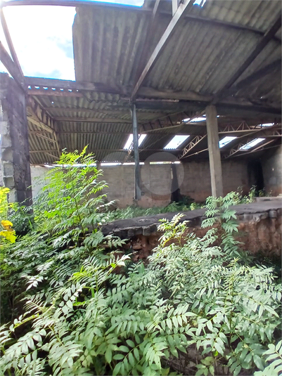 Foto REO1105237