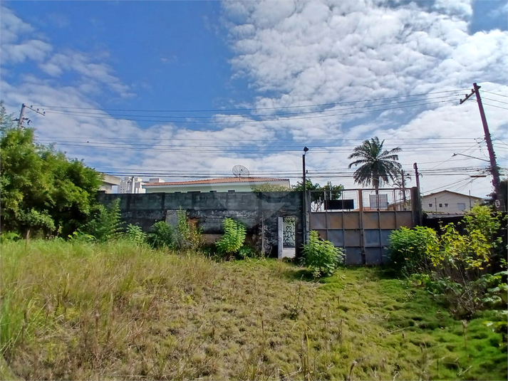 Foto REO1105237