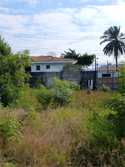 Foto REO1105237